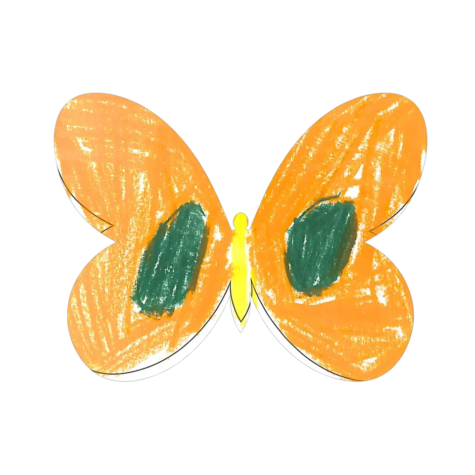 Original Butterfly Image