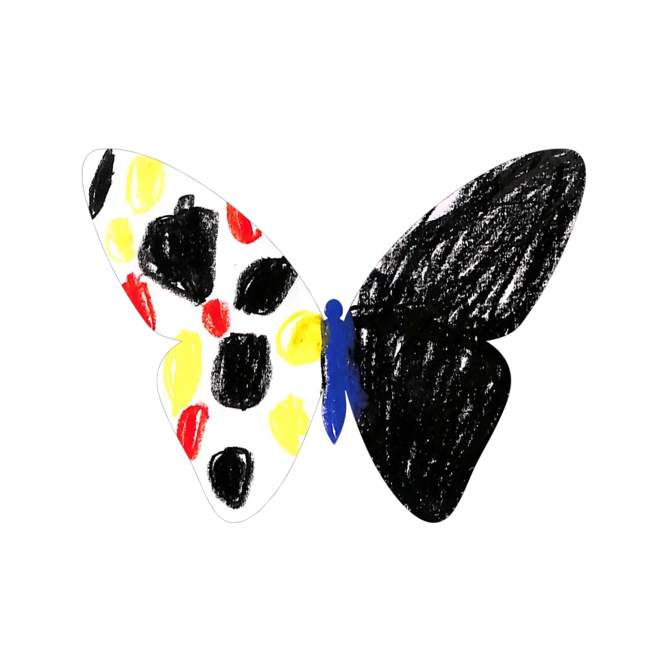 Original Butterfly Image