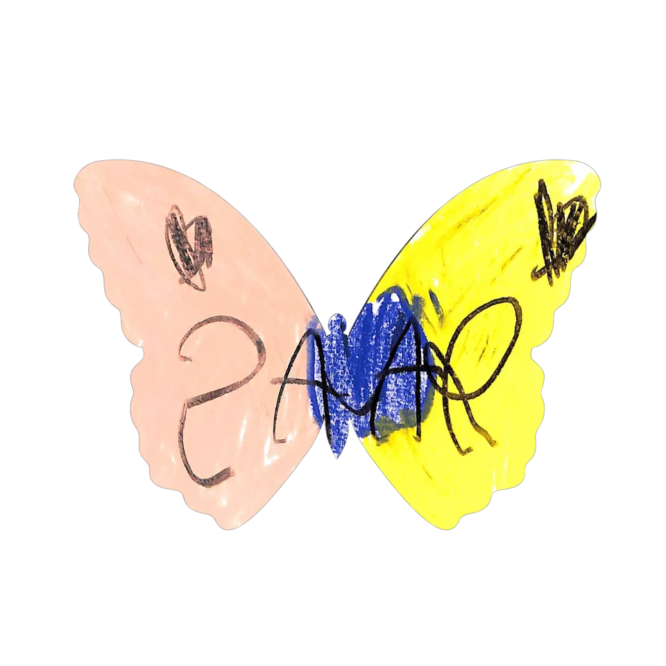 Original Butterfly Image