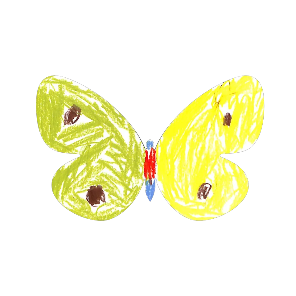 Original Butterfly Image