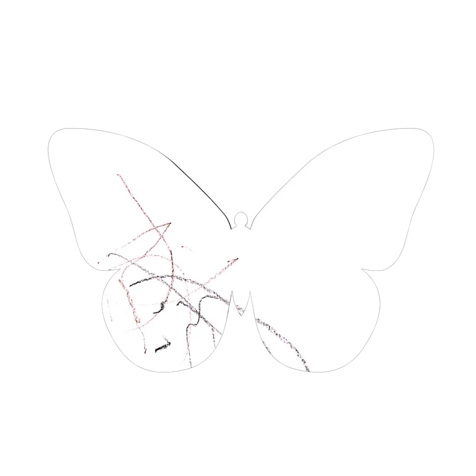 Original Butterfly Image