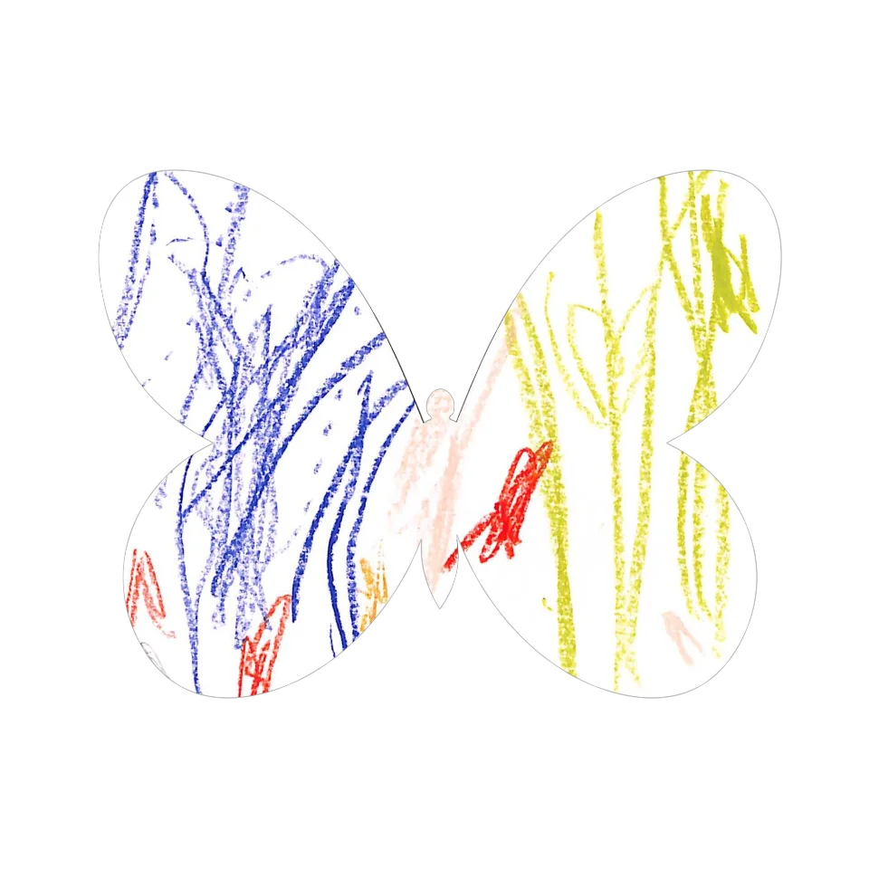Original Butterfly Image
