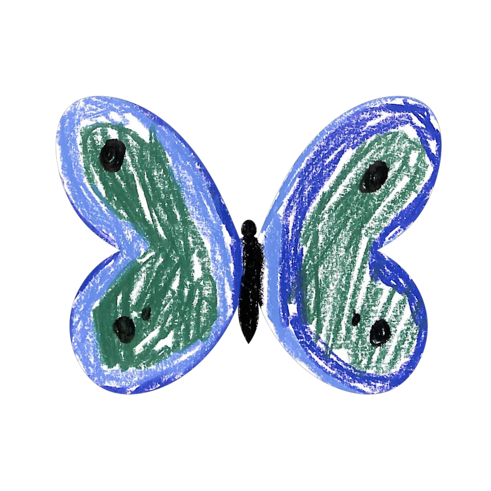 Original Butterfly Image