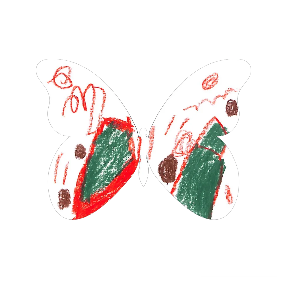 Original Butterfly Image