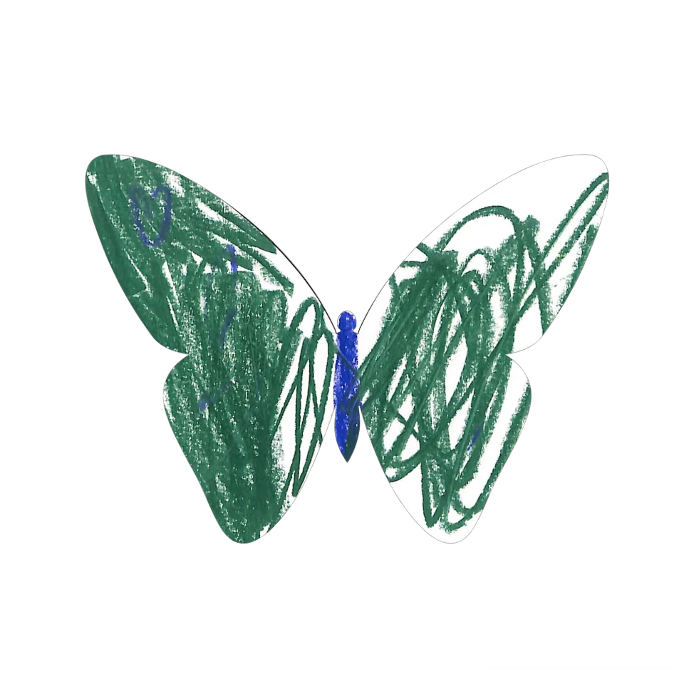Original Butterfly Image