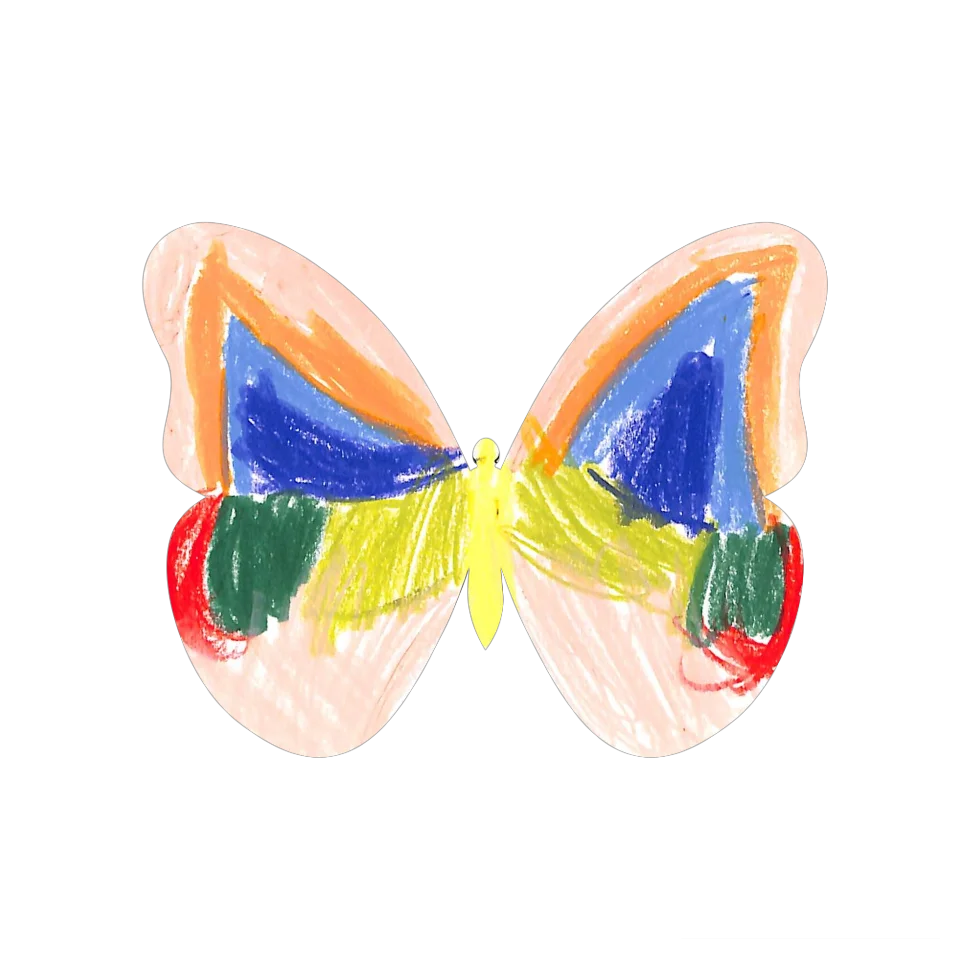 Original Butterfly Image