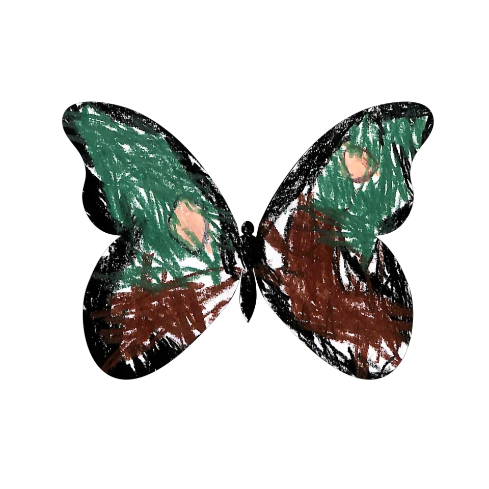 Original Butterfly Image