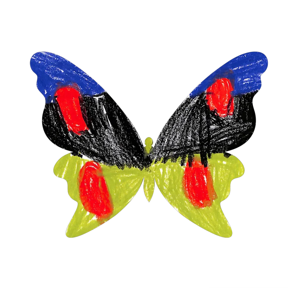 Original Butterfly Image