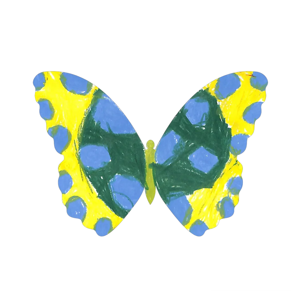 Original Butterfly Image
