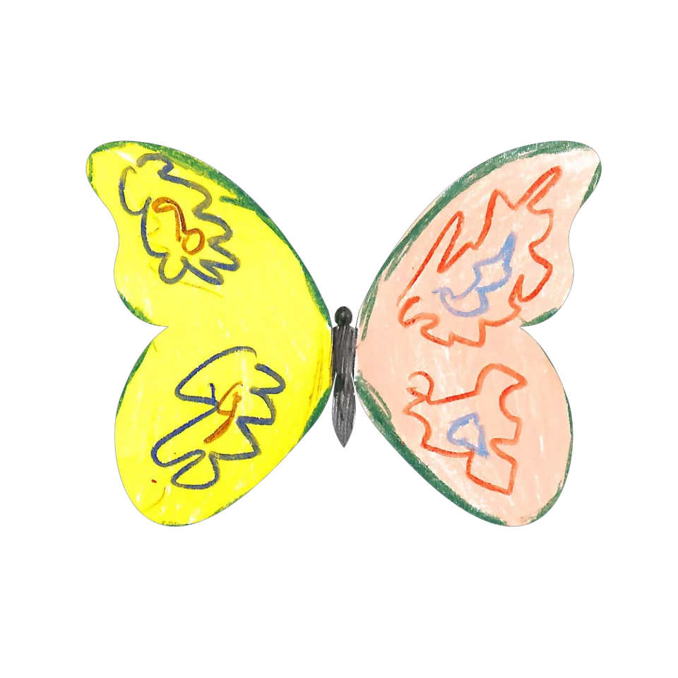 Original Butterfly Image