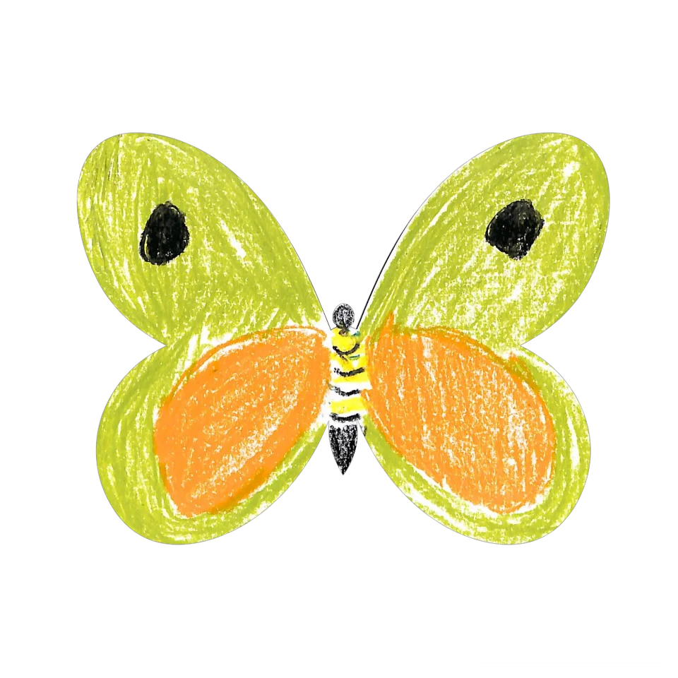 Original Butterfly Image