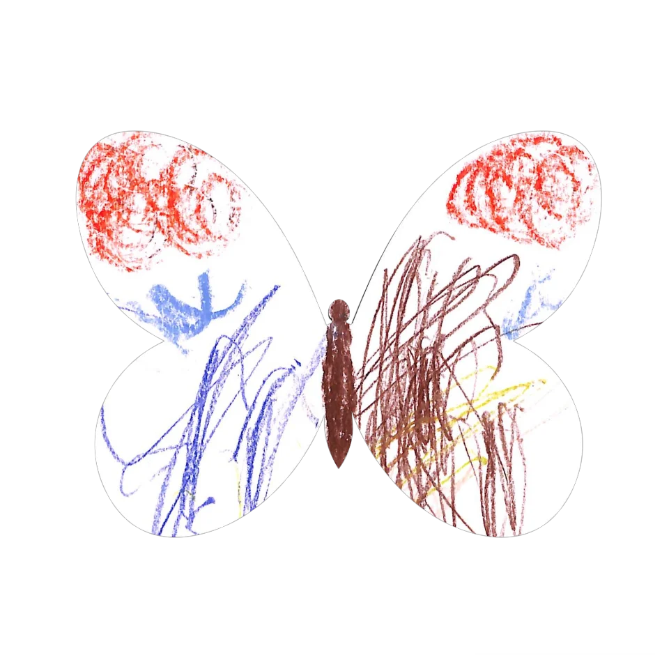 Original Butterfly Image