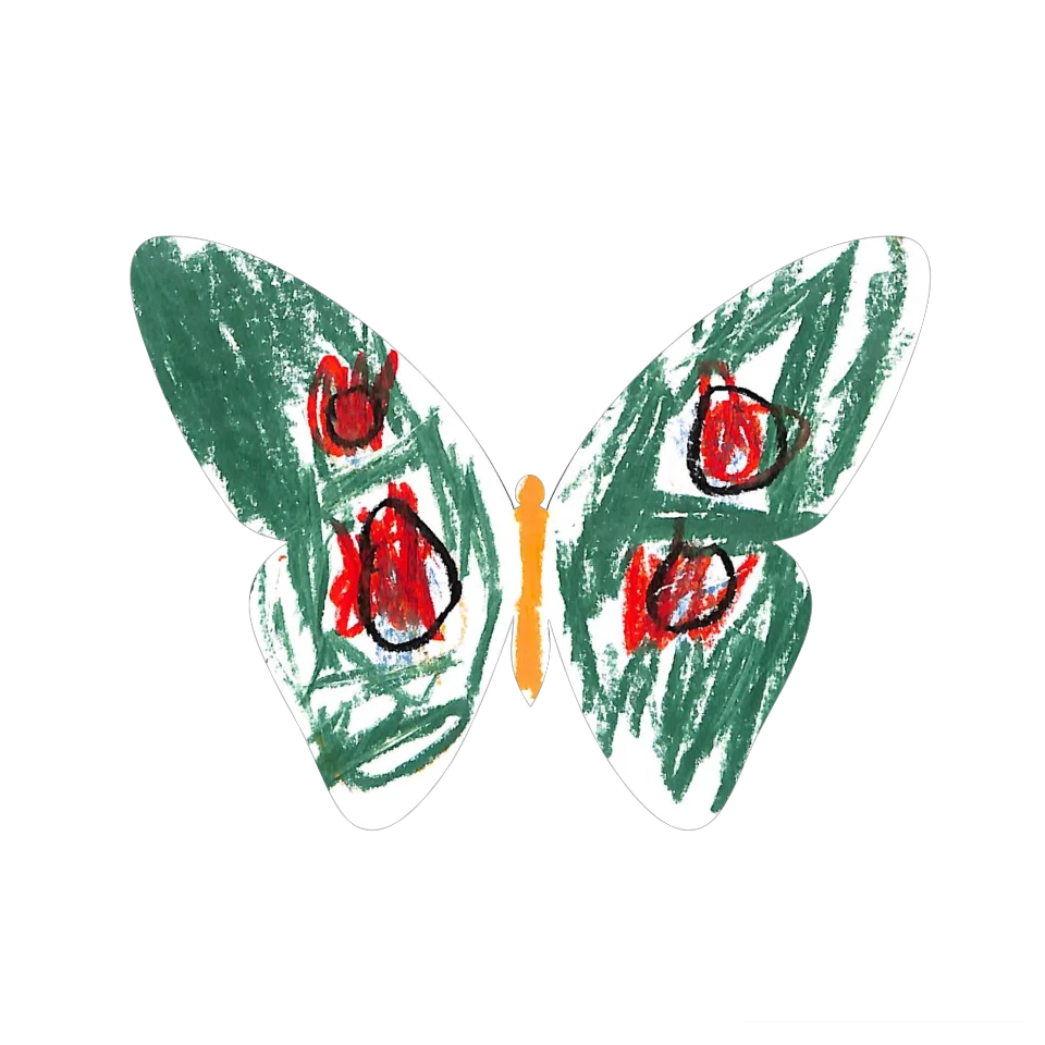 Original Butterfly Image