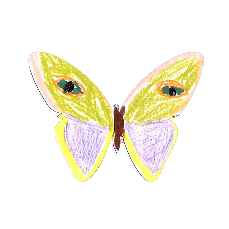 Original Butterfly Image