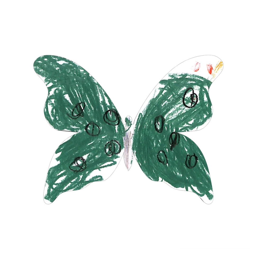 Original Butterfly Image