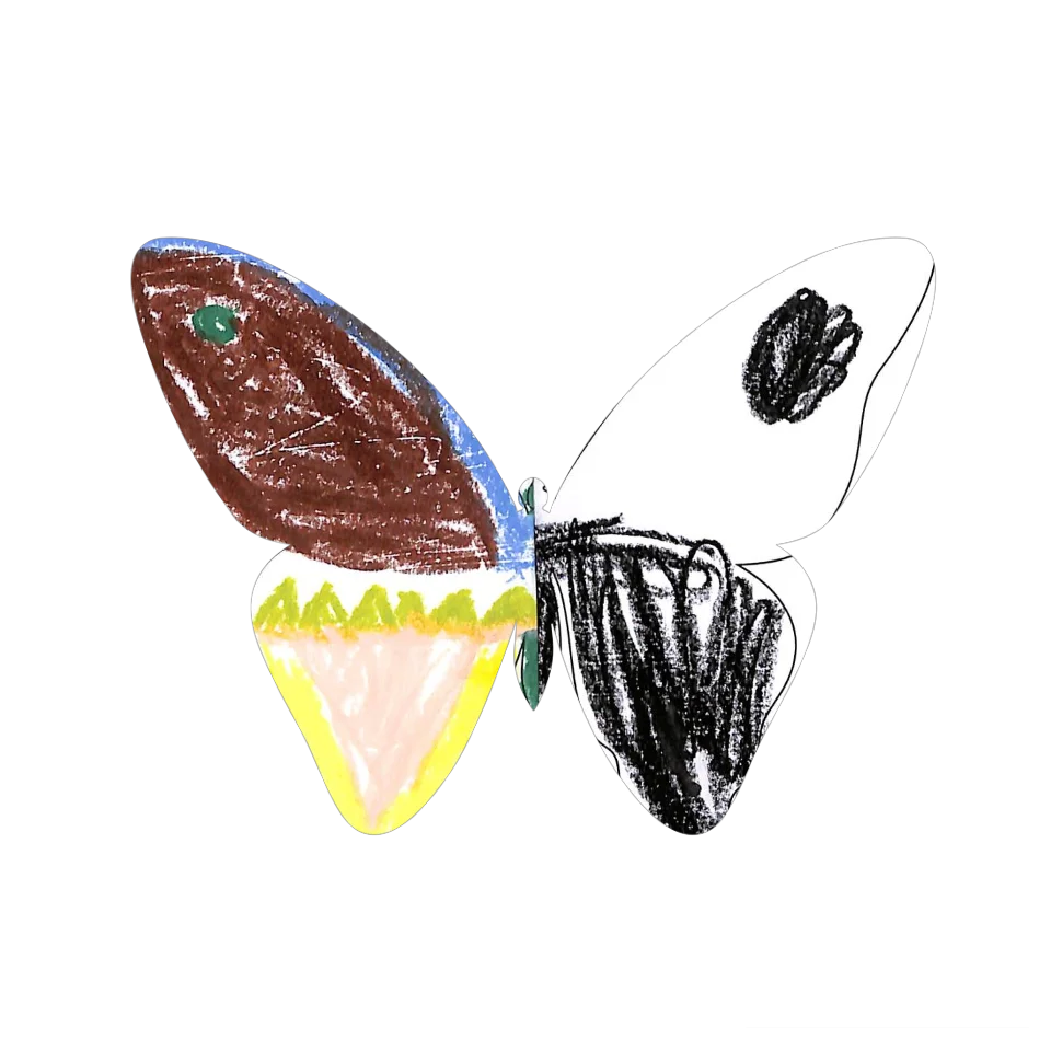Original Butterfly Image