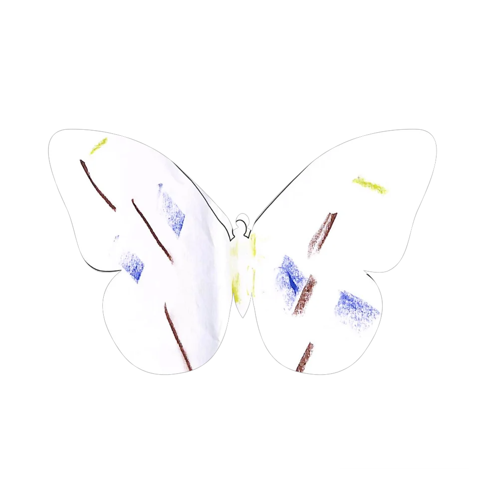 Original Butterfly Image