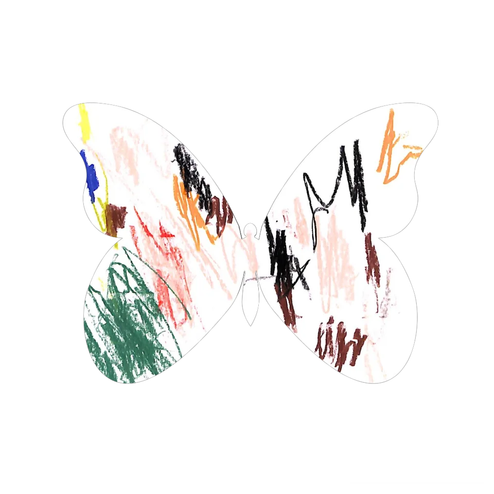 Original Butterfly Image