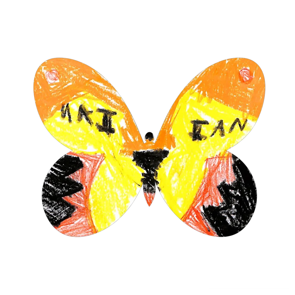 Original Butterfly Image