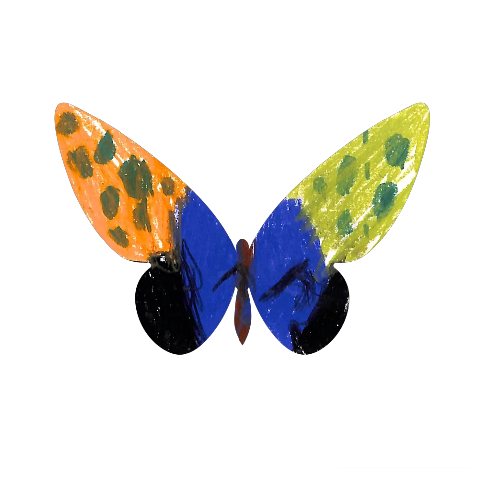 Original Butterfly Image