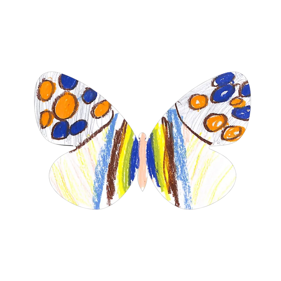 Original Butterfly Image