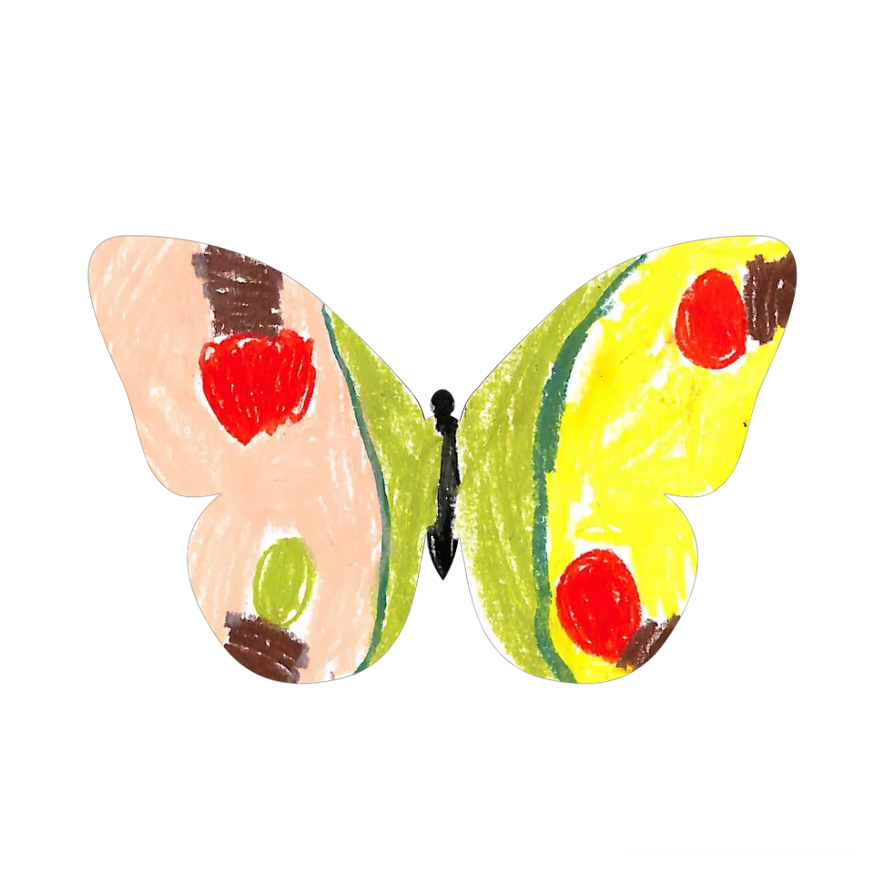 Original Butterfly Image
