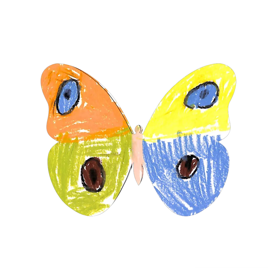 Original Butterfly Image