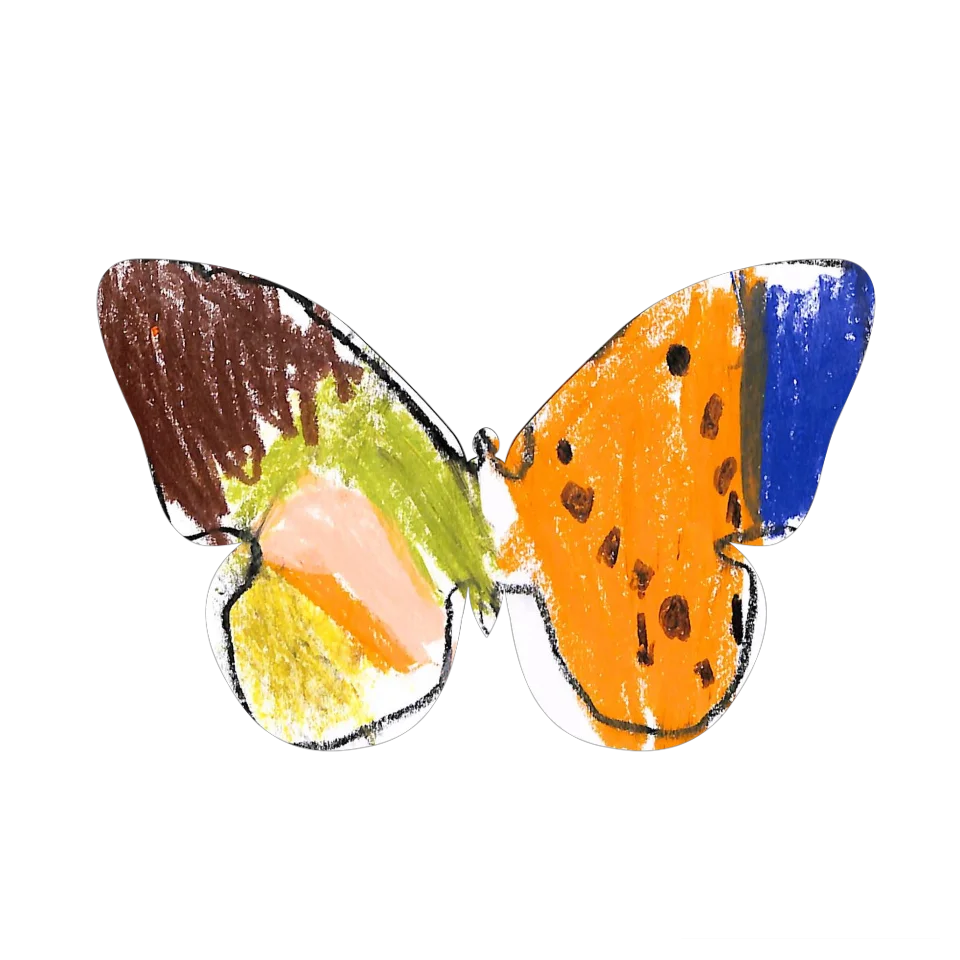 Original Butterfly Image