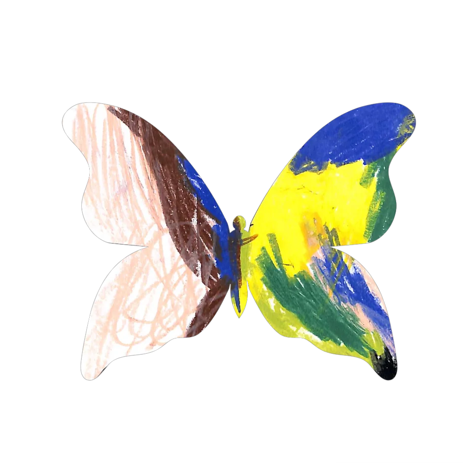 Original Butterfly Image
