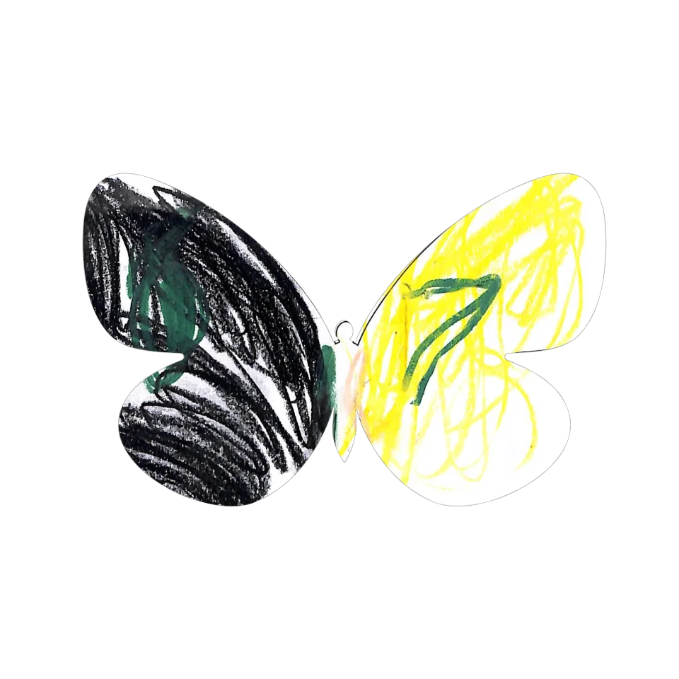 Original Butterfly Image