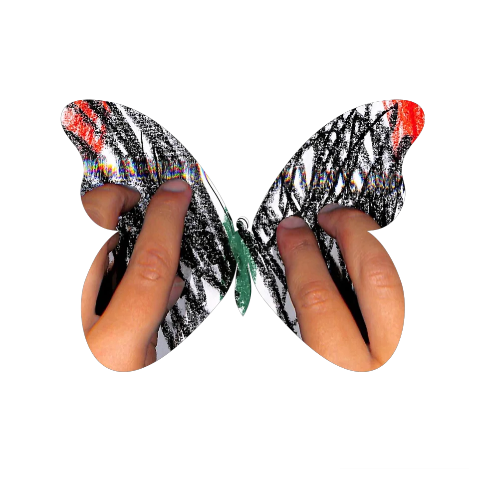 Original Butterfly Image