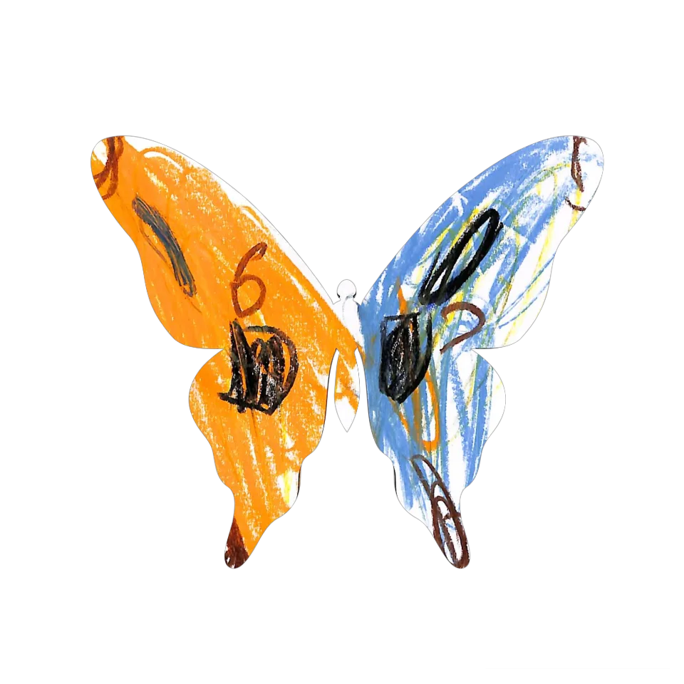 Original Butterfly Image