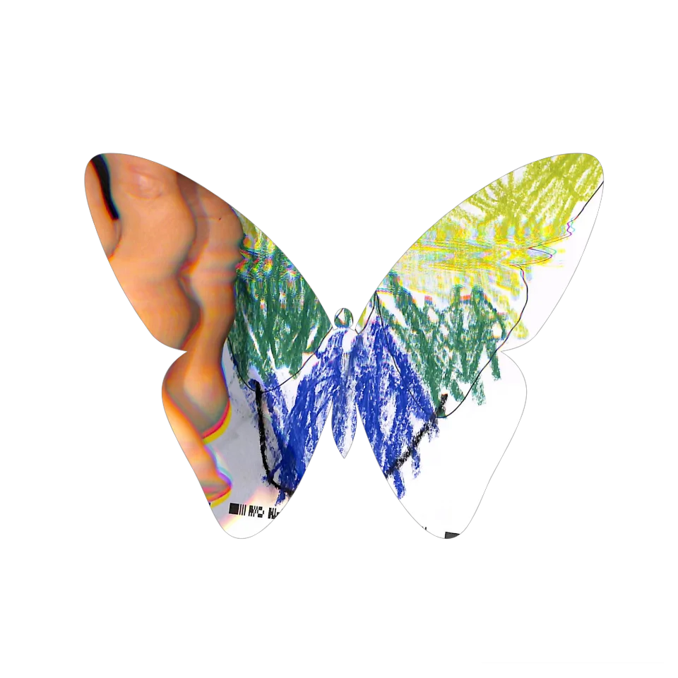 Original Butterfly Image
