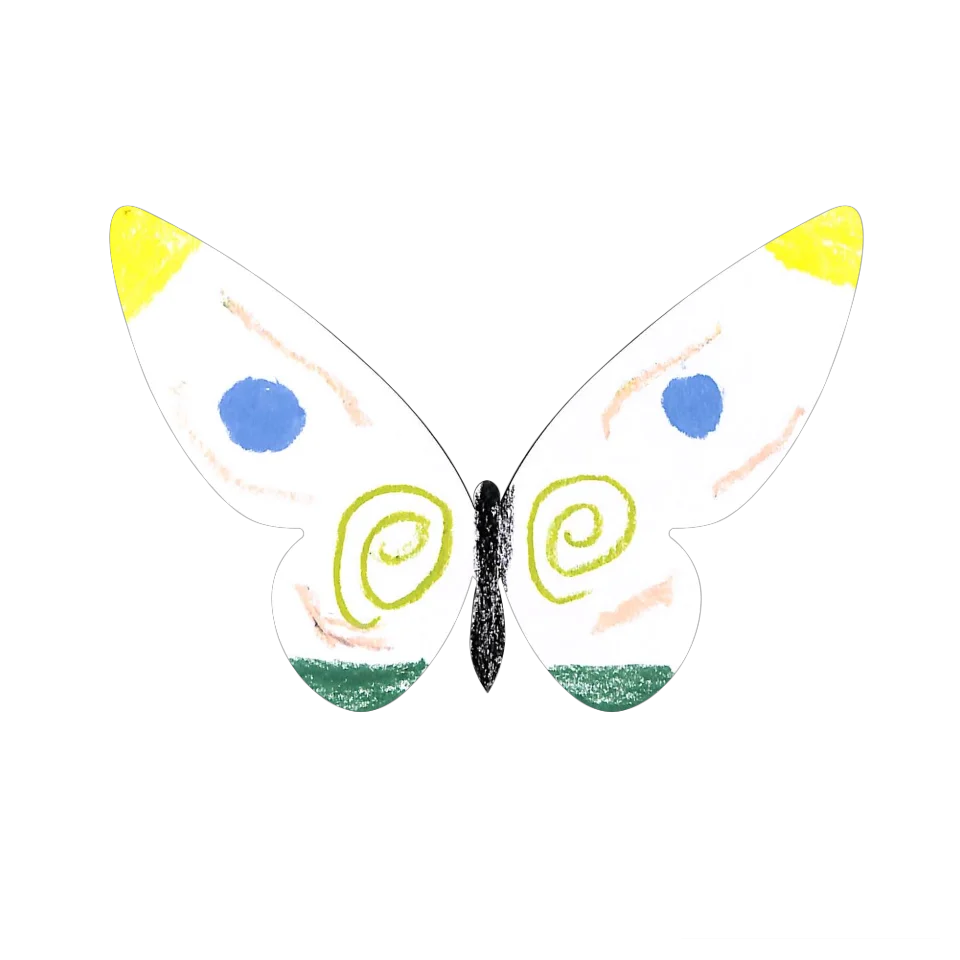 Original Butterfly Image