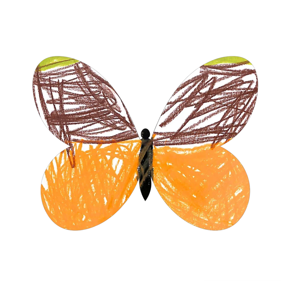 Original Butterfly Image