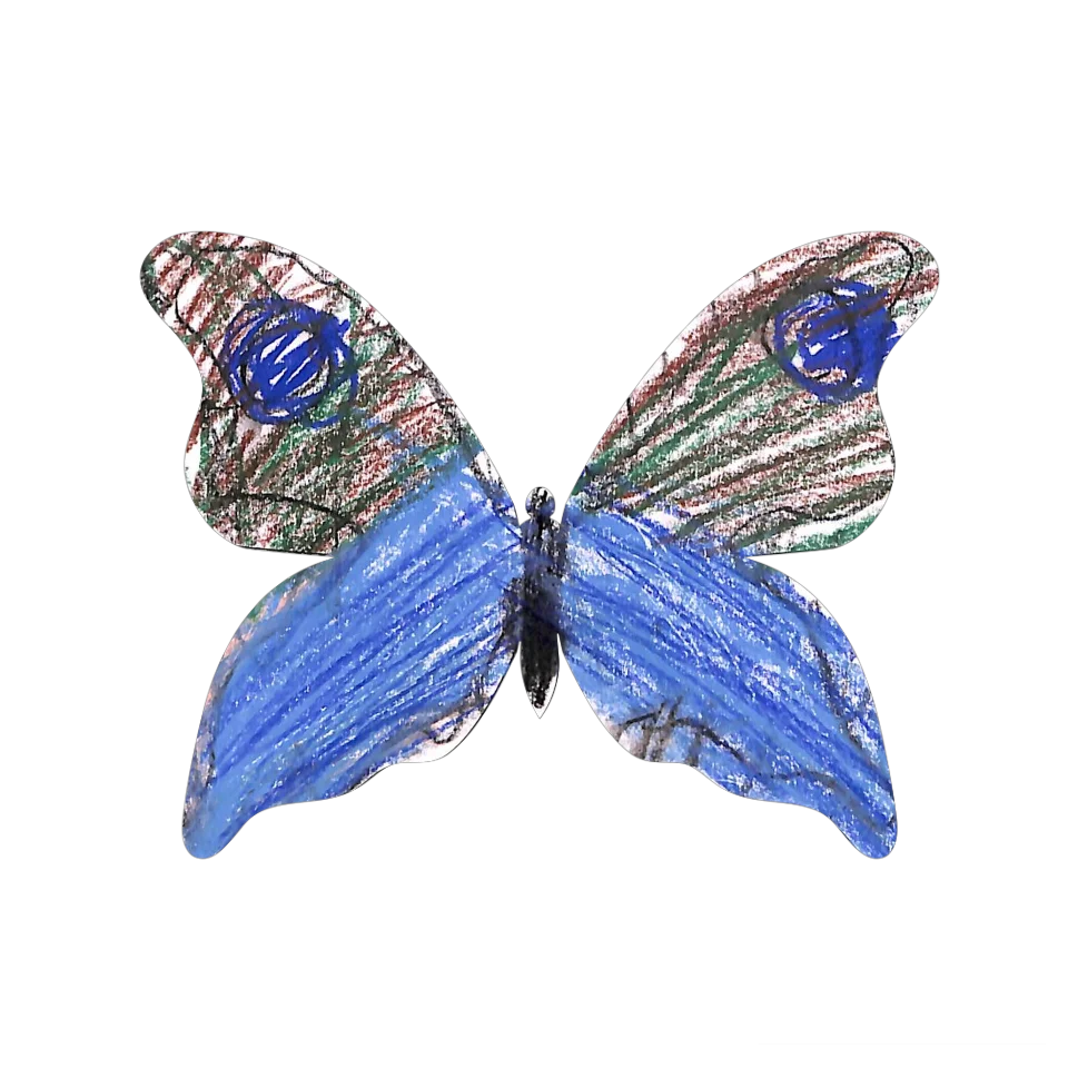 Original Butterfly Image