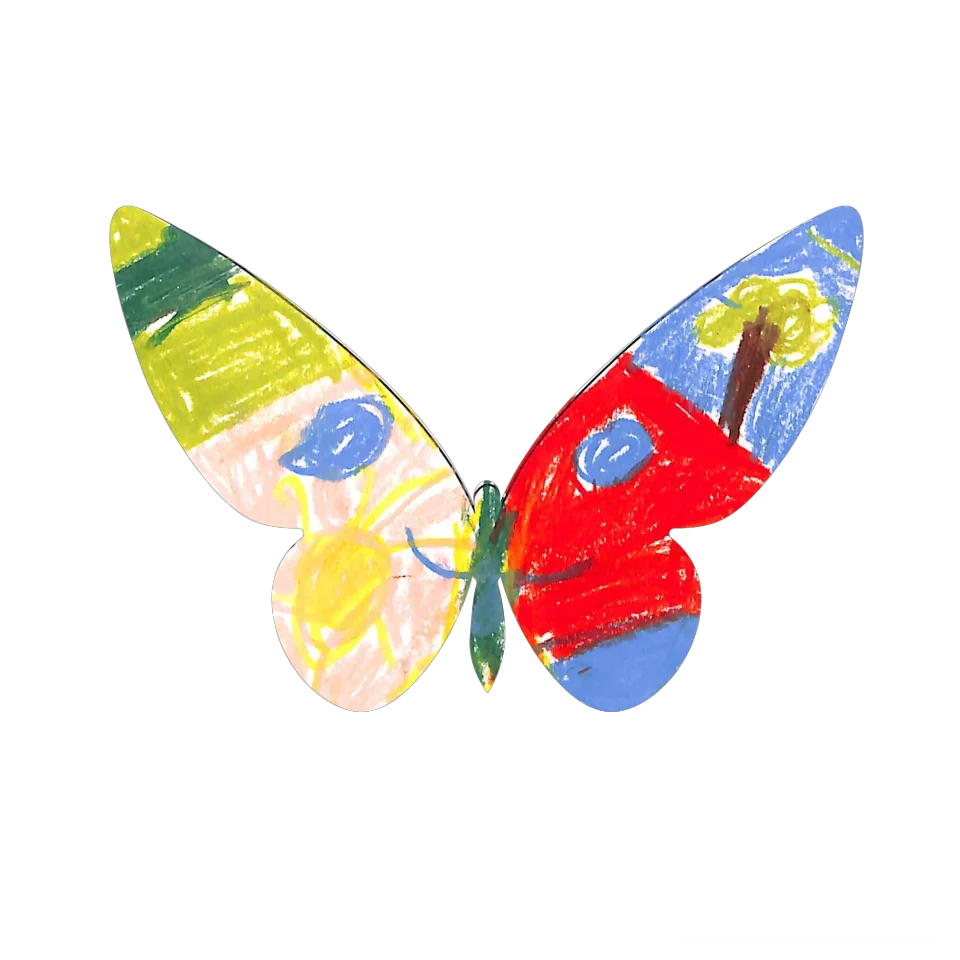 Original Butterfly Image