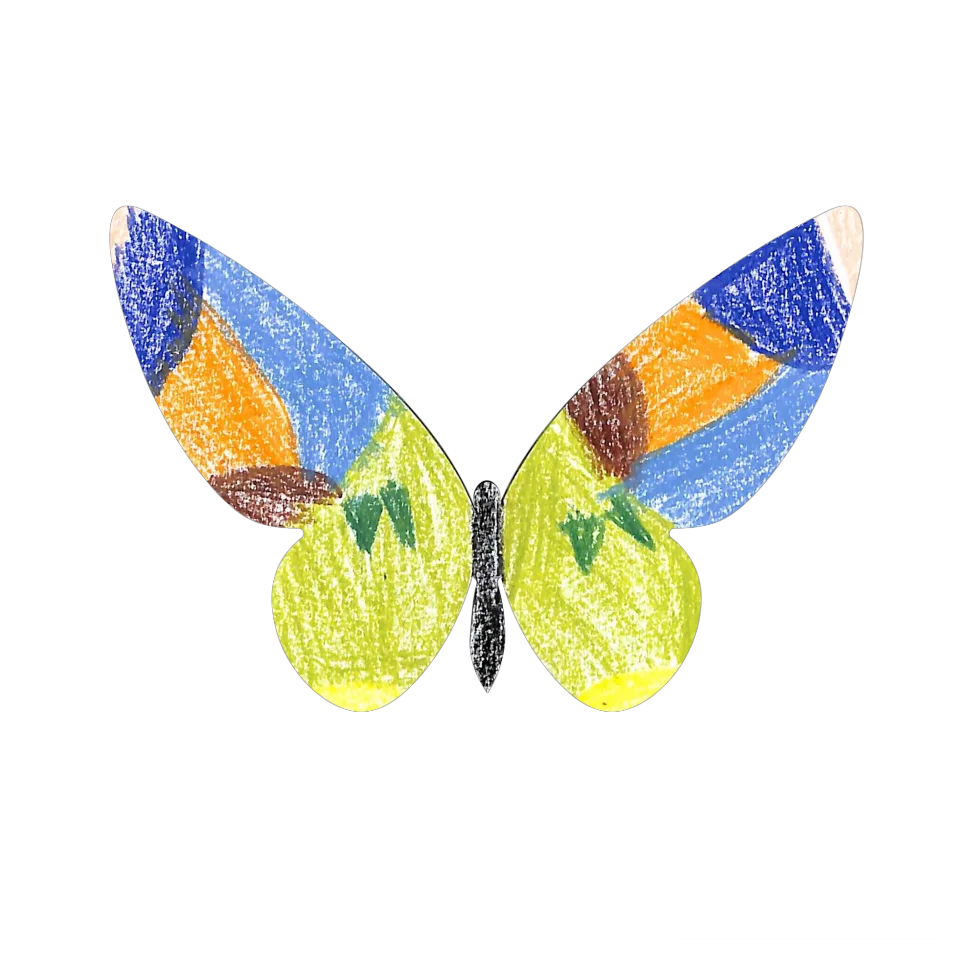 Original Butterfly Image