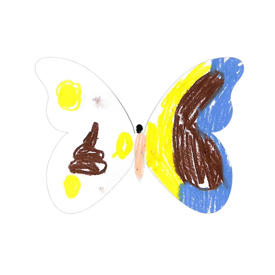 Original Butterfly Image