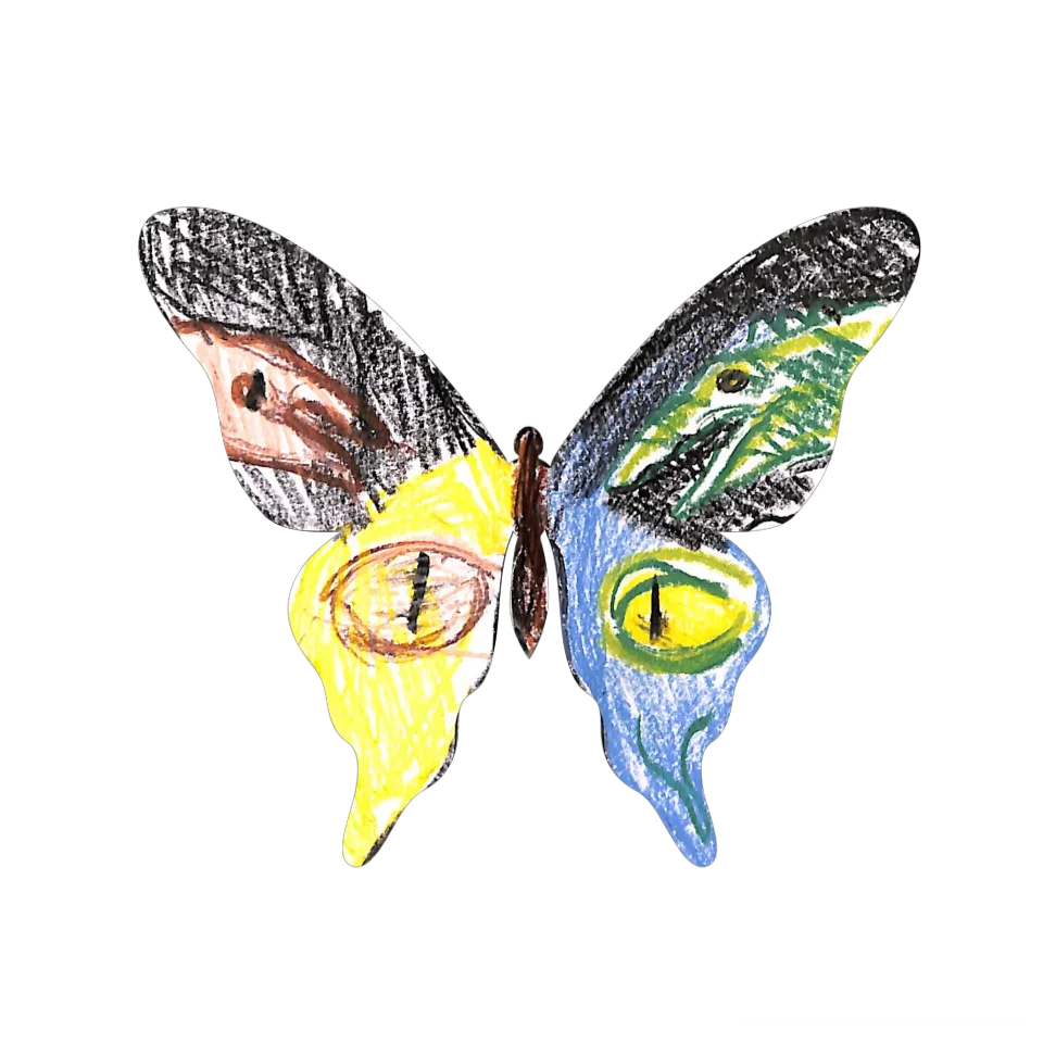 Original Butterfly Image