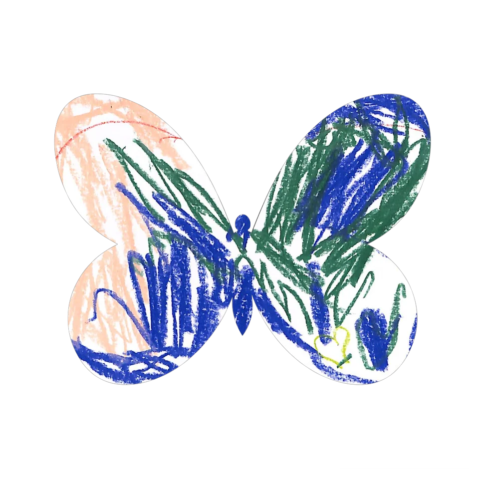 Original Butterfly Image