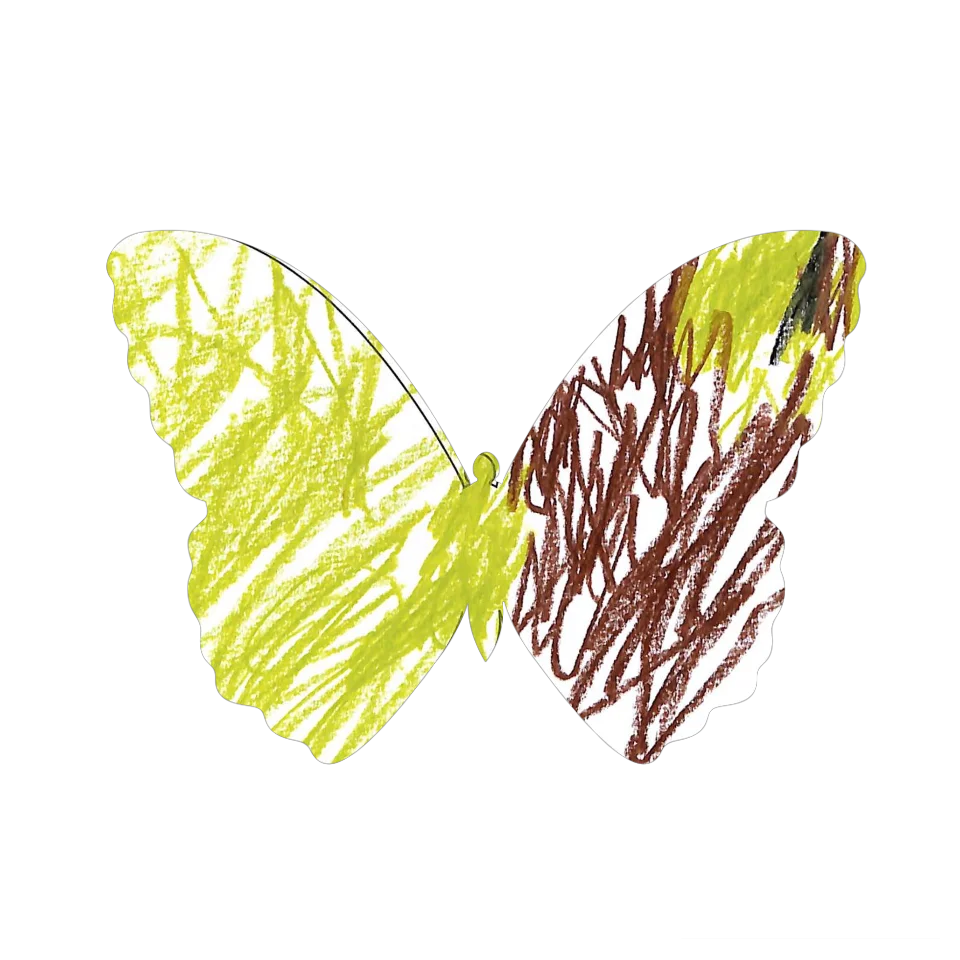 Original Butterfly Image