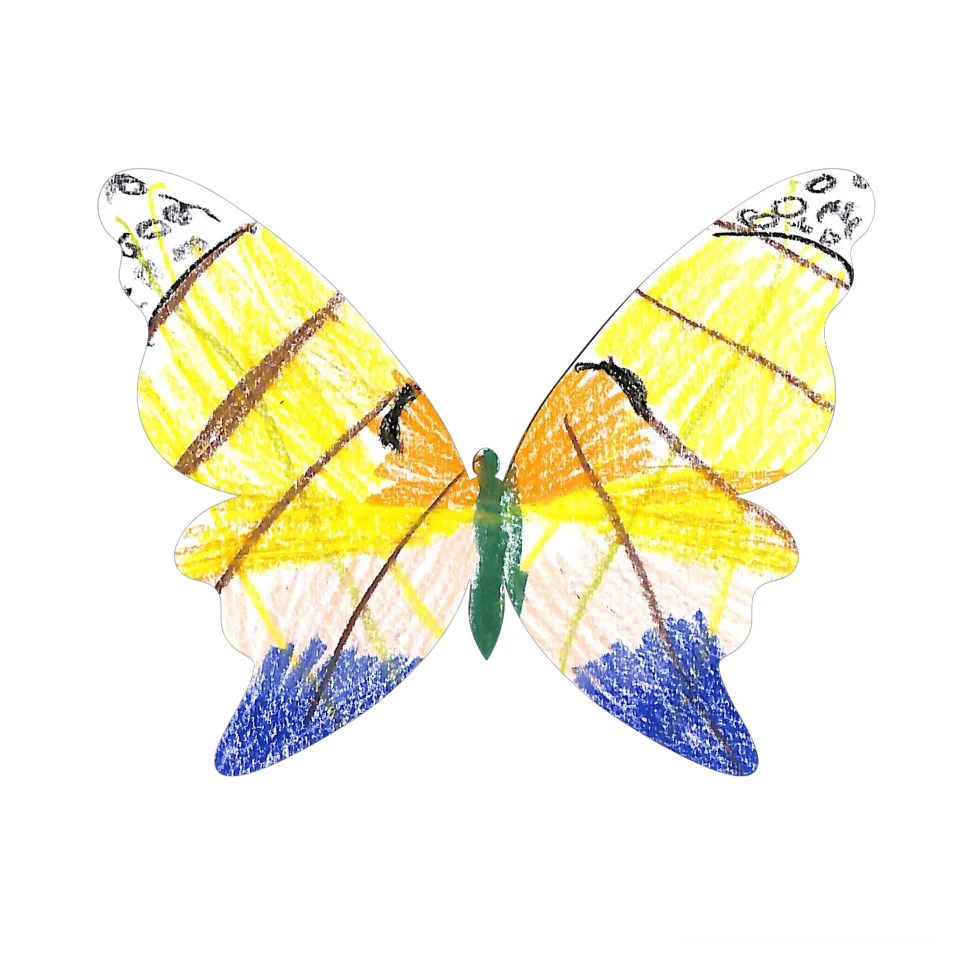 Original Butterfly Image