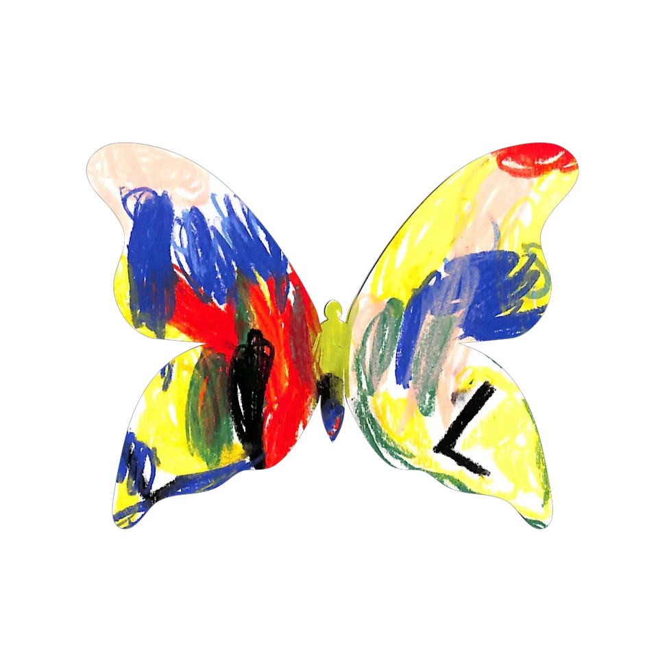 Original Butterfly Image