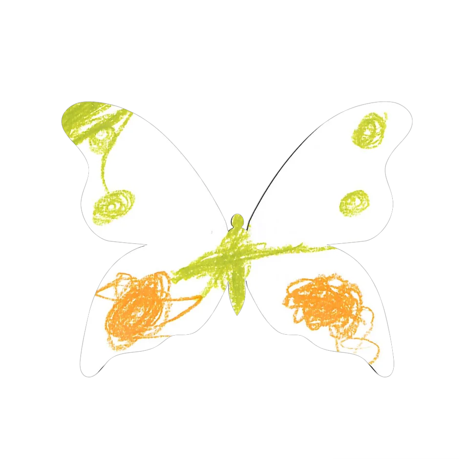 Original Butterfly Image