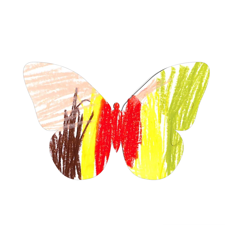 Original Butterfly Image