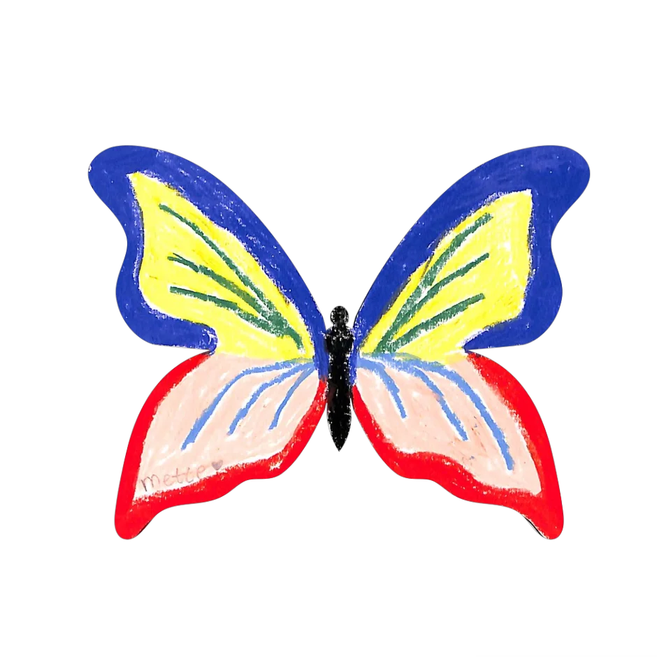 Original Butterfly Image
