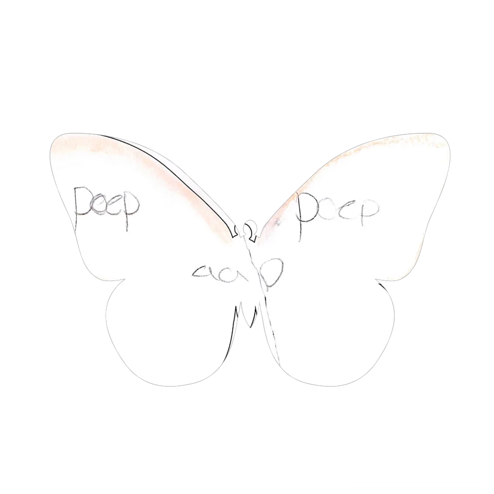 Original Butterfly Image