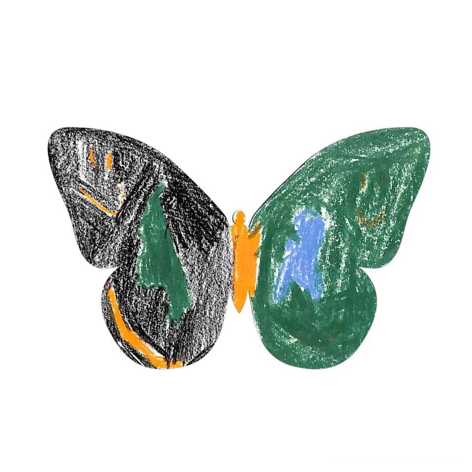 Original Butterfly Image