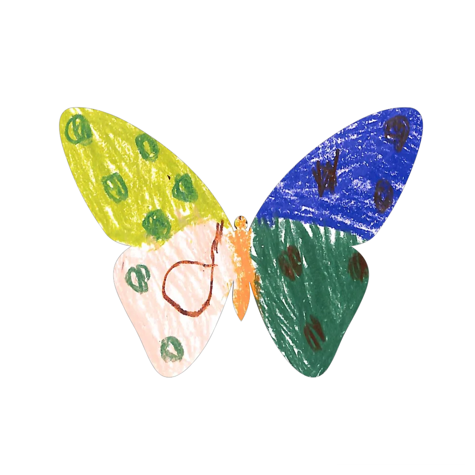 Original Butterfly Image